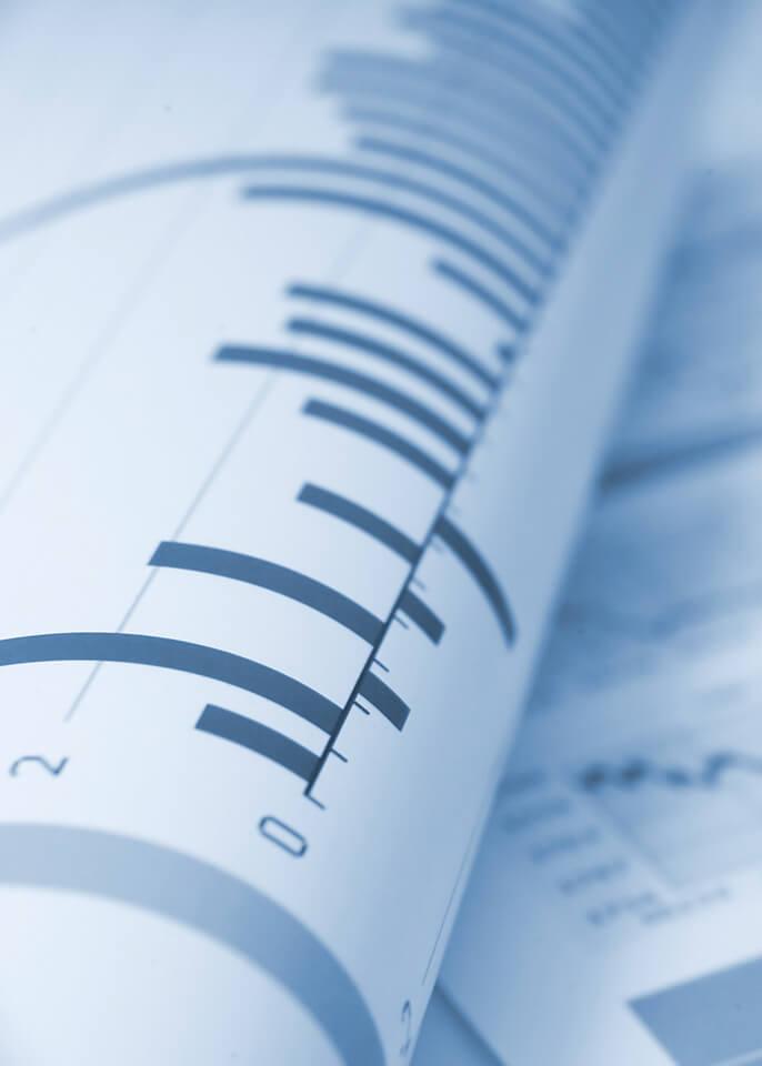 Estructura accionaria