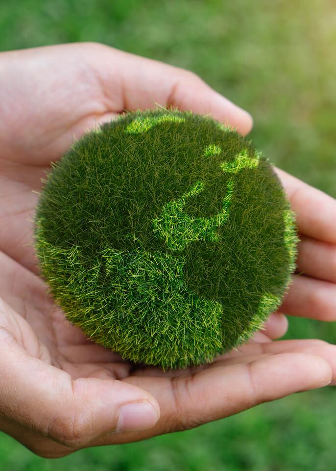 Objetivos de Desarrollo Sostenible